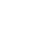 Morris Group University