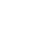 MGI ProPad
